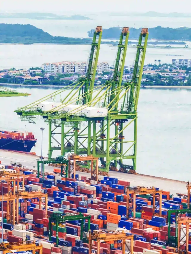 randes grues de port vertes surplombant des rangées de conteneurs colorés dans un terminal maritime de commerce.